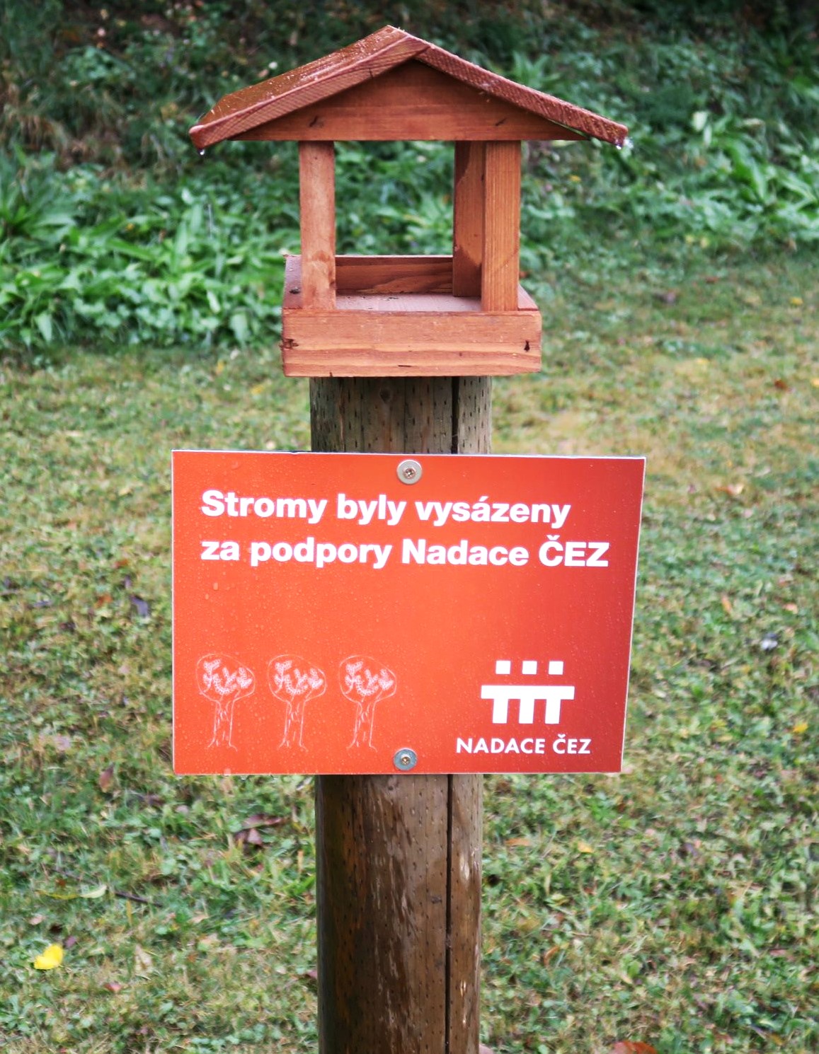 motivový obrázek