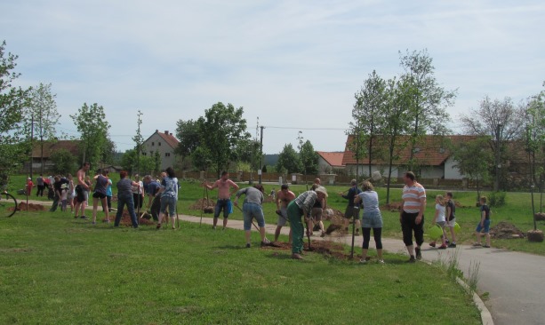 motivový obrázek
