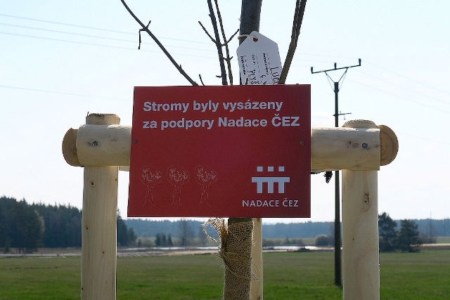 motivový obrázek
